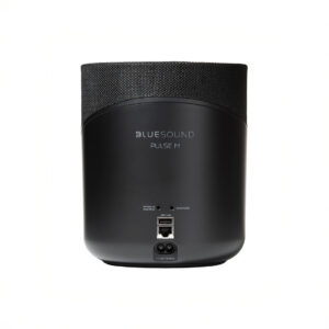 Back view of a wireless speaker with ports.