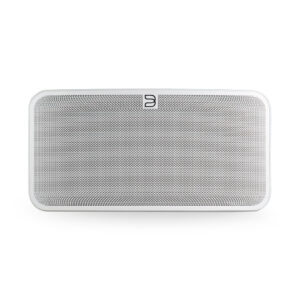 Portable wireless speaker with a sleek design