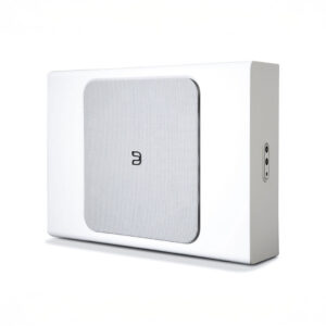 White subwoofer speaker with plugged ports.