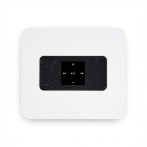 Bluesound wall-mounted audio control panel