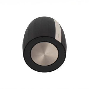 Side view of a modern oval speaker