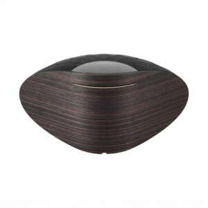 Modern wooden wireless speaker with sleek design