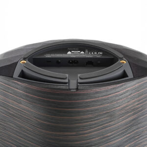 Back view of audio speaker connections