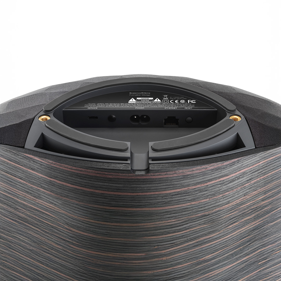 Back view of audio speaker connections