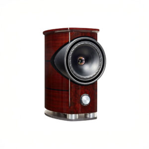 High-end wood speaker with large black cone
