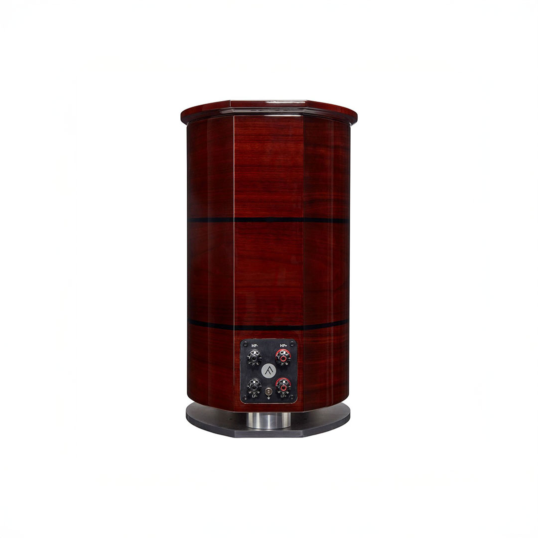 Wooden high-end audio speaker with control panel.