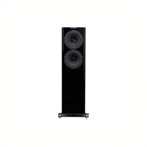 Black floor-standing audio speaker with two drivers.