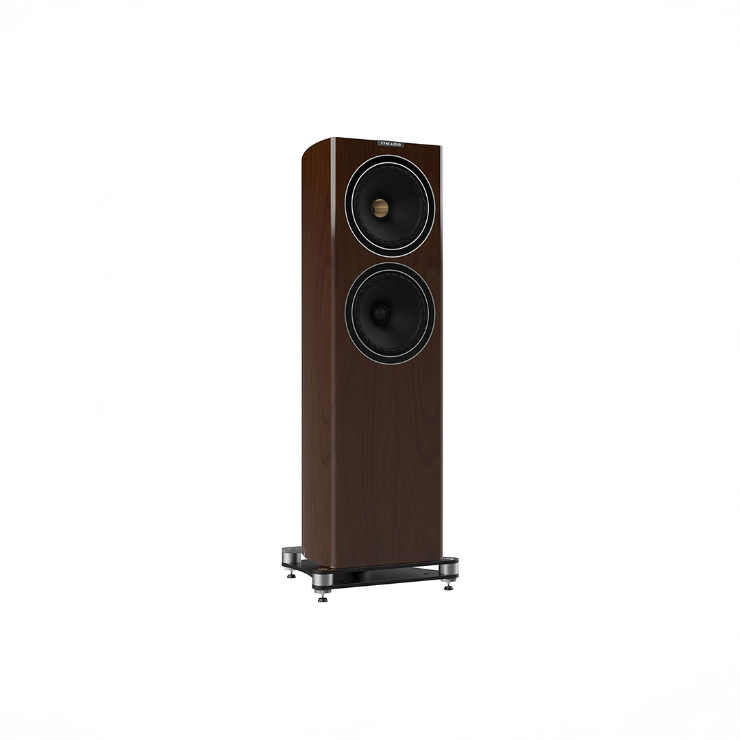 Tall wooden floor-standing speaker with dual drivers.