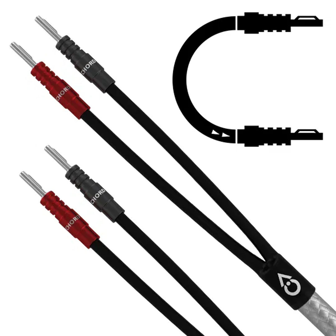 Audio cables with red and black connectors