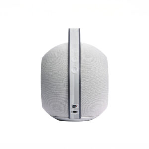 White wireless speaker with control buttons.