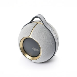 Portable spherical speaker with elegant gold accents