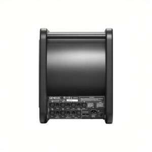 Back panel of a studio subwoofer.