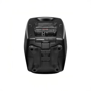 Back view of a speaker with connection ports.