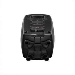 Back view of black speaker with connections.