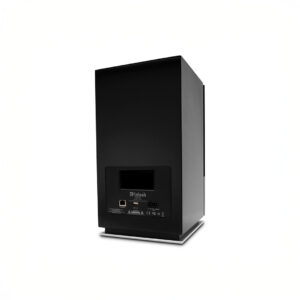 Back view of black audio speaker