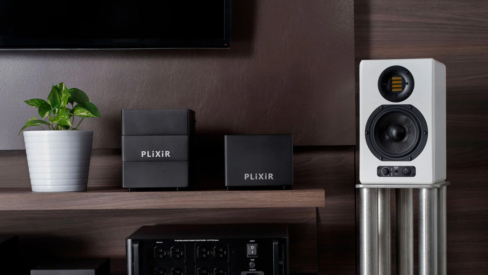 Plixir audio setup with speaker and plant on shelf