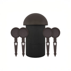 Outdoor speaker and satellite speakers set