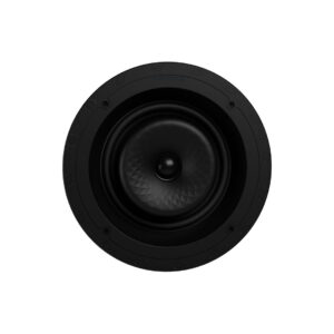 Round black speaker with detailed cone design.