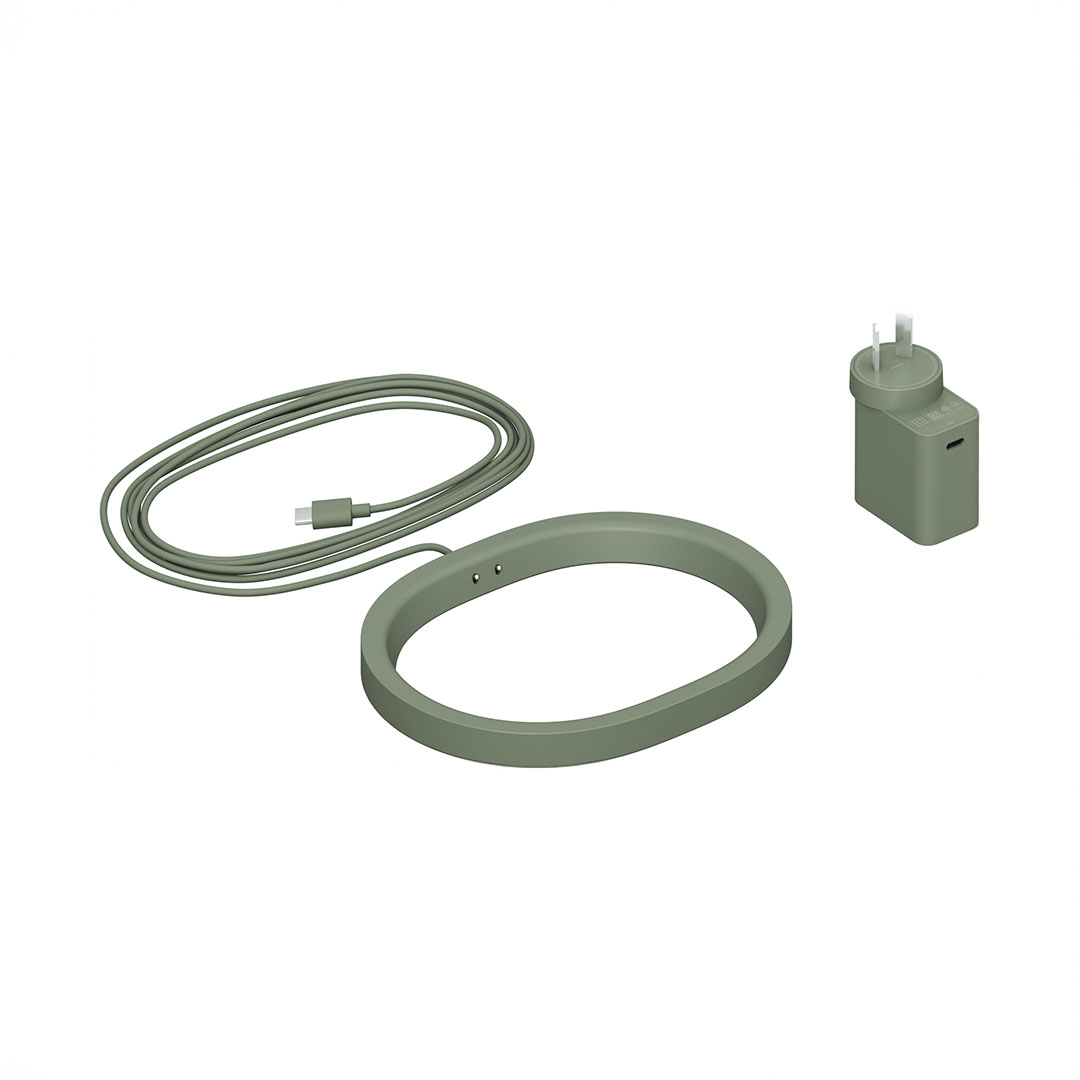 Olive green charger, cable, and adapter set