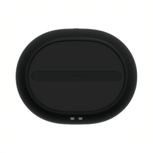 Black oval wireless charger top view