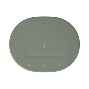 Olive green wireless speaker top view with controls