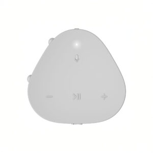 White remote with play and volume buttons