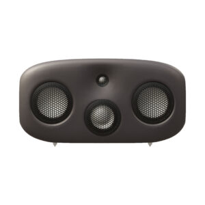 Black speaker with round mesh grills
