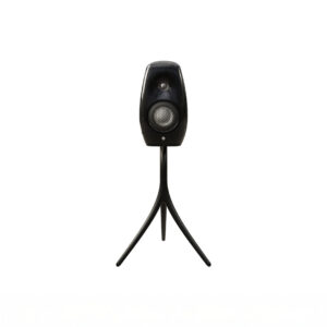Modern speaker on tripod stand, front view