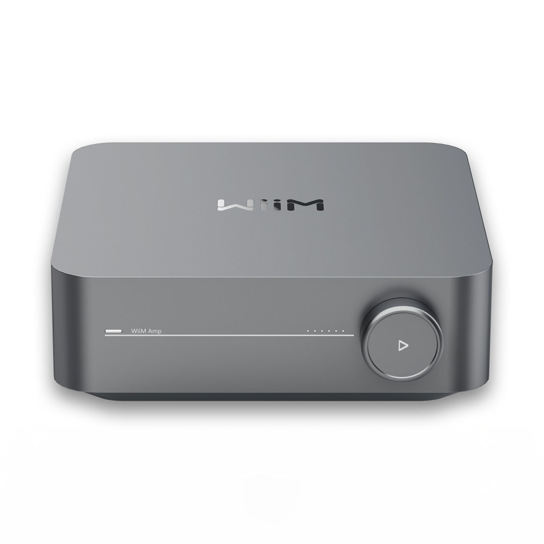 Wiim amplifier with volume knob and play button.