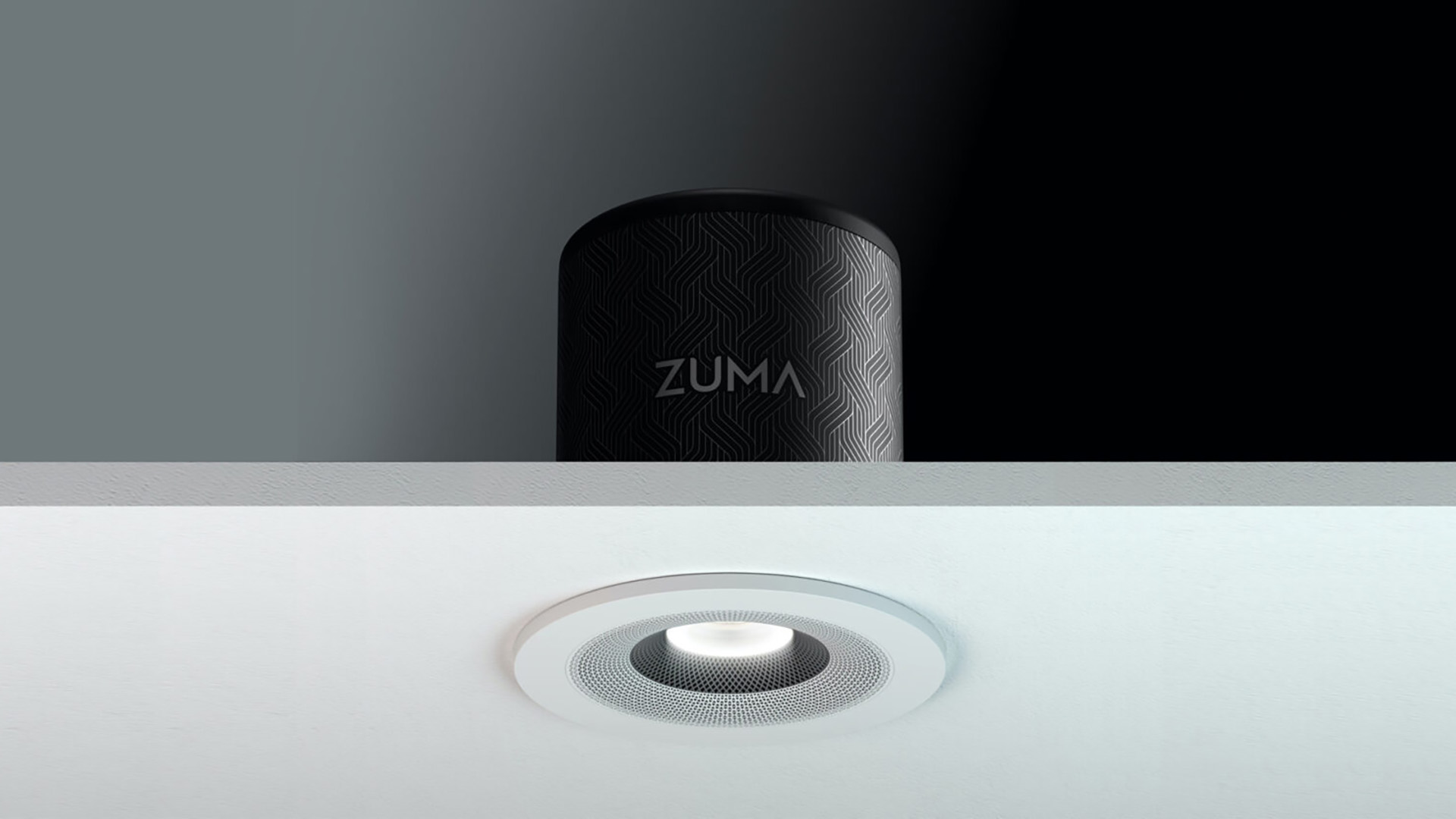 Zuma ceiling speaker with integrated light