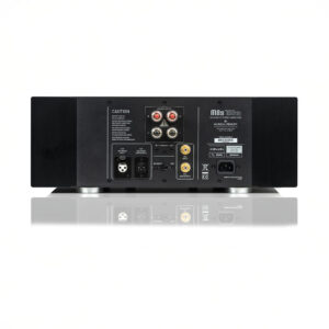 Rear view of monoblock power amplifier connections