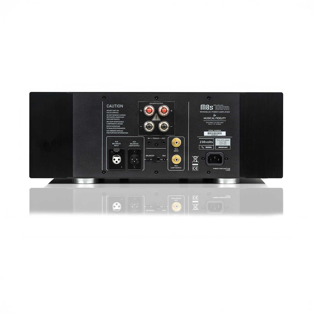 Rear view of monoblock power amplifier connections