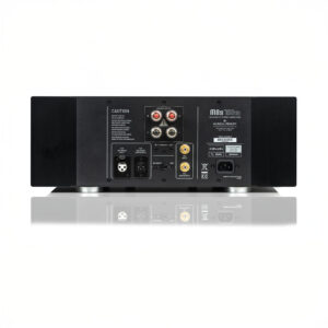 Back panel of audio power amplifier with connectors.