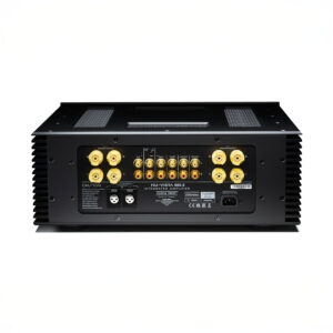 Back view of integrated amplifier connections.