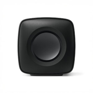Black wireless speaker on white background.