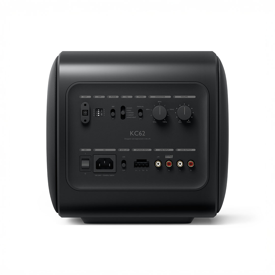 Back panel of black audio equipment with various controls.