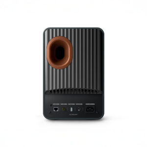 Rear view of black electronic speaker with connectors.