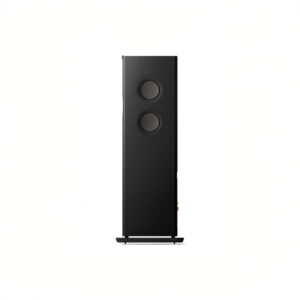 Sleek black audio speaker with dual drivers.