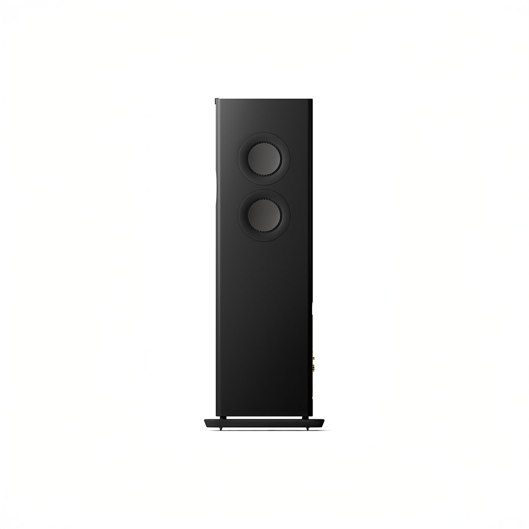 Sleek black audio speaker with dual drivers.