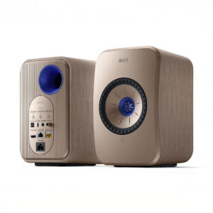 Modern brown and blue bookshelf speakers