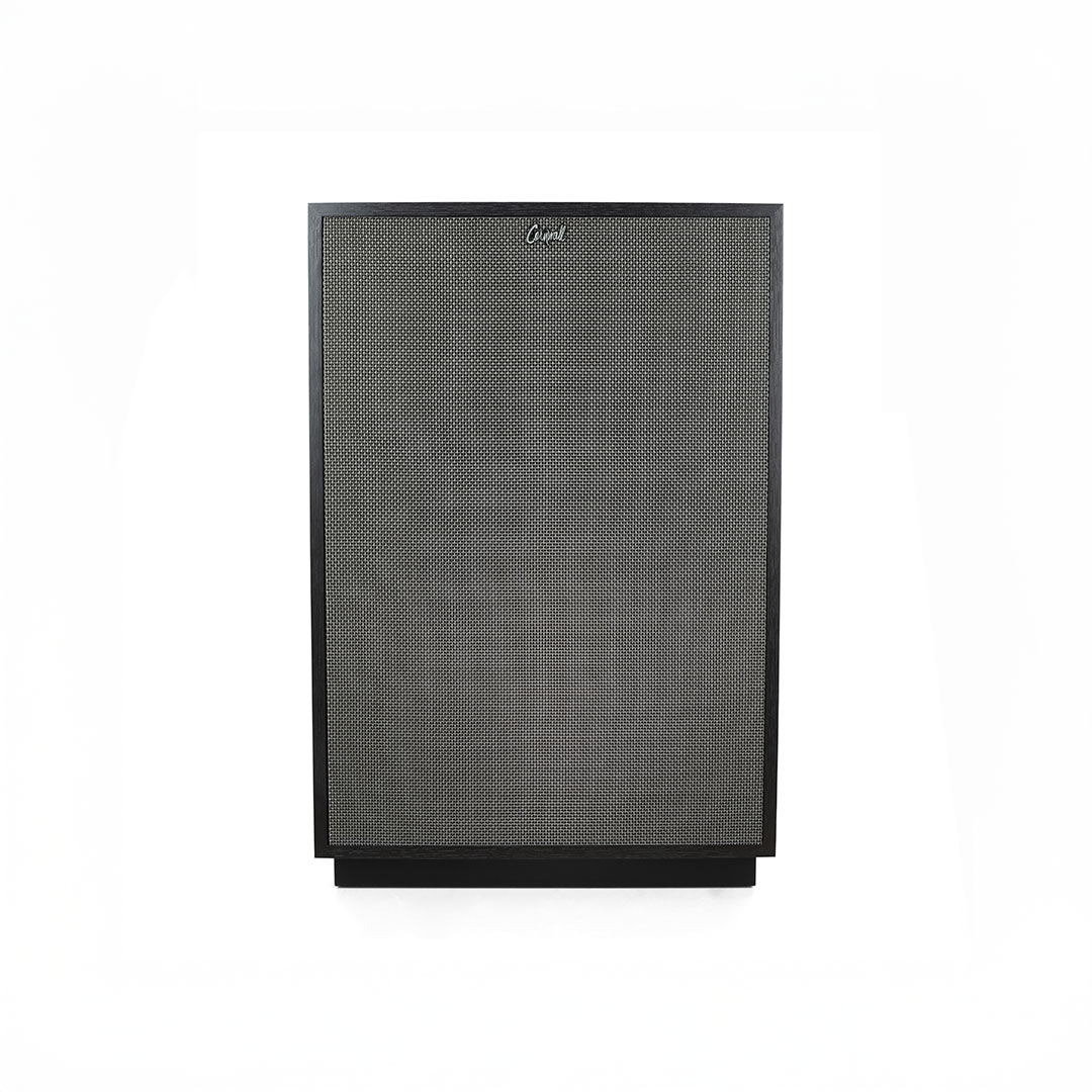 Front view of a modern speaker.