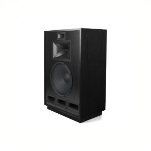 Large black professional audio speaker.