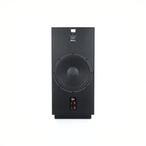 Large black speaker with a front-facing woofer.
