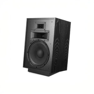 Black wooden loudspeaker with large woofer and tweeter.
