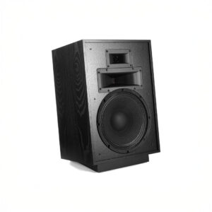 Black floor-standing speaker with large woofer