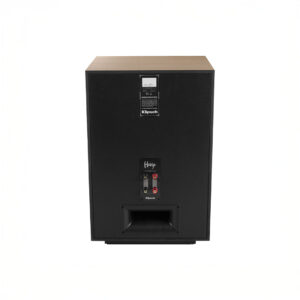 Back view of wireless wooden speaker