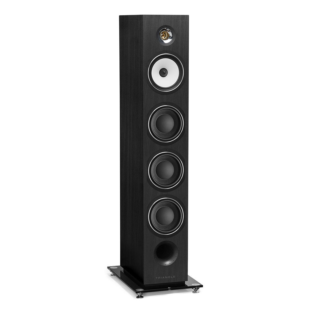 triangle-australe-black-ash-product-image-2 Triangle Esprit Ez Australe floorstanding speaker in Black Ash, angled view